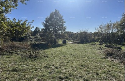 BAUGRUNDSTÜCK NAHE LABIN – 1.361 m²