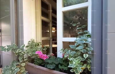 Bale – vollständig renoviertes Steinhaus im Zentrum, 116 m²