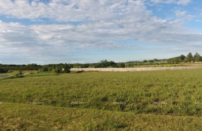 Zu verkaufen: Baugrundstück, 7.159 m² – Brtonigla