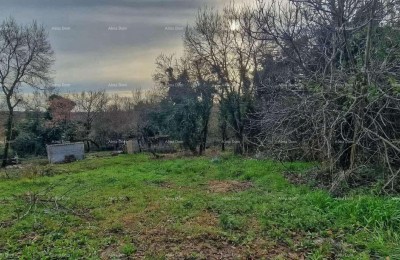 Nova Vas (Brtonigla) – Bauland 555 m²