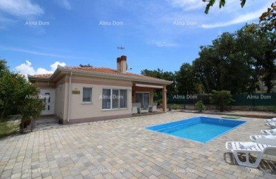 POREČ UMGEBUNG – Luxuriös eingerichtetes Erdgeschoss mit Pool auf großzügigem Grundstück