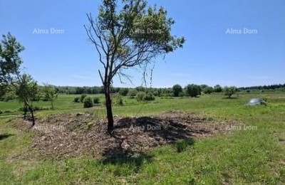 Baugrundstück 1.200 m² + landwirtschaftliche Fläche 4.400 m² – Vižinada
