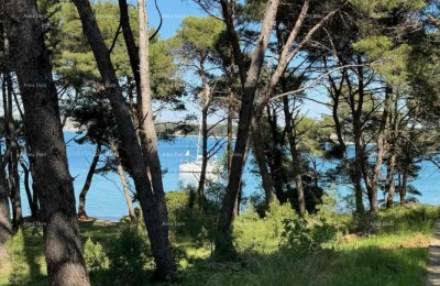 Drei-Zimmer-Wohnung direkt am Meer, Premantura