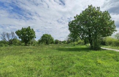 Bauland zum Verkauf, Višnjan