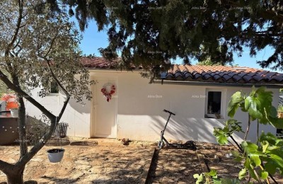 Vodnjan, Prizemnica mit Garten