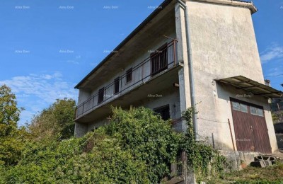 Haus Pazin