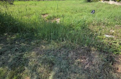 Baugrundstück 1.412 m², Šegotići