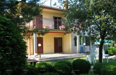 Haus mit drei Wohnungen und großem Grundstück, umgeben von Weinbergen und Olivenhainen.