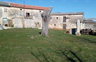 Pazin, Istrien - zwei alte Steinhäuser mit großem Grundstück