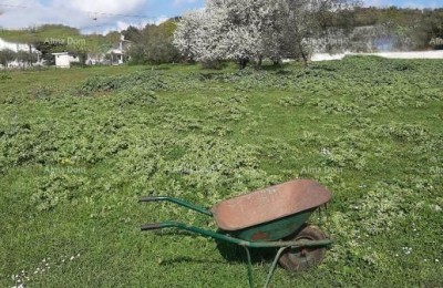 Baugrundstück 1500 m² in der Nähe des Meeres – Štinjan, Pula!