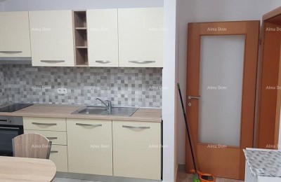 Verkauf einer großen Wohnung mit Garten, Tar, Vabriga!