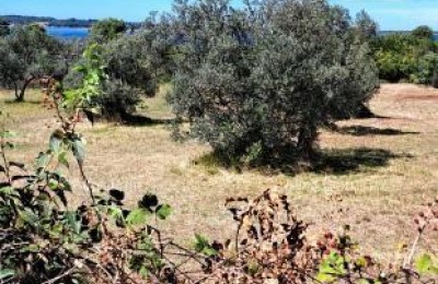 Zu verkaufen: landwirtschaftliche Fläche – Fažana - Peroj