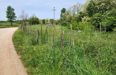 Bauland zum Verkauf, 12.000 m2, in attraktiver Lage direkt unterhalb des kleinen istrischen Dorfes Sveti Ivan. Es liegt an der Asphaltstraße. Die Straße ist nicht mit Verkehr belastet. Die Infrastruktur ist nicht weit vom Grundstück entfernt. Geeignet für