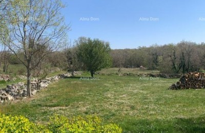 Baugrundstück 785 m2 in der Umgebung von Višnjan – Projekt für eine Villa mit Pool