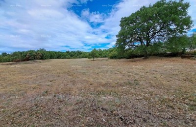 Verkauf von Bauland, Kanfanar