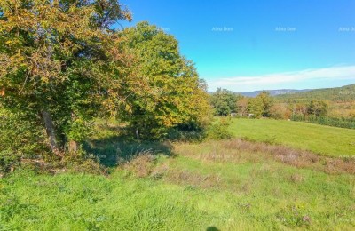 Verkauf - Baugrundstück für den Bau eines Einfamilienhauses, Karojba!