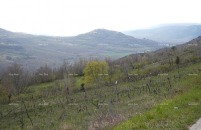 BAUGRUNDSTÜCK MIT PANORAMABLICK AUF MOTOVUN – 3.059 m²