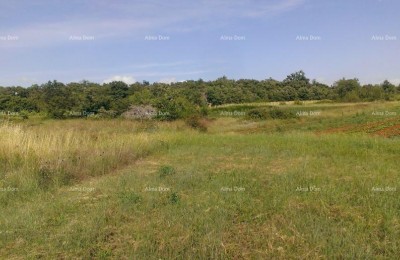 Baugrundstück 2.539 m² – Smoljanci, Svetvinčenat