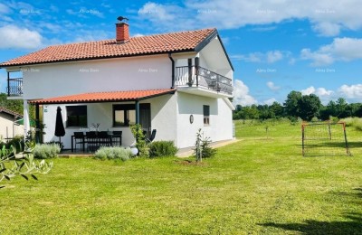 MARČANA! LOBORIKA - HAUS MIT OLIVENBAUM.