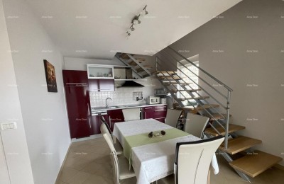 Novigrad – Geräumige zweistöckige Wohnung mit überdachtem Parkplatz