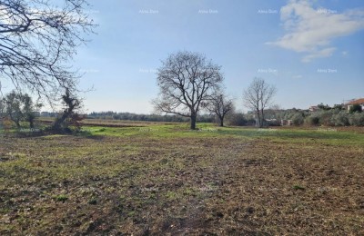 Reserviert!!! Verkauf von Bauland mit Meerblick, Novigrad!