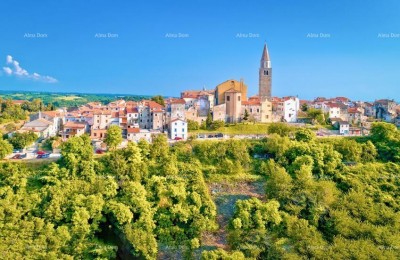 Neu renovierte Wohnung mitten im alten Zentrum von Buja