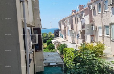 Umgebung von Novigrad, Apartment mit Meerblick