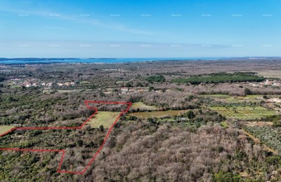GALIŽANA – Großzügiges Ackerland zu verkaufen – 20.498 m², Toplage