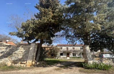 Altes Steinhaus in Istrien, Buje