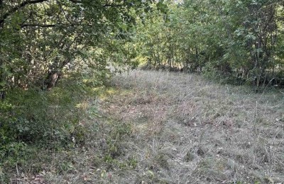 Marčana, Grundstück mit gemischter Nutzung