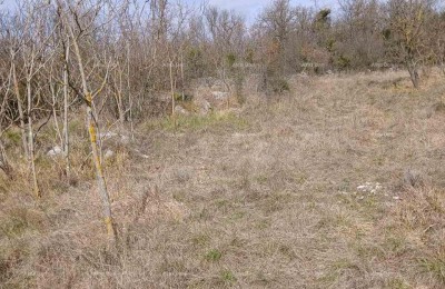 VERKAUF VON BAULAND, 6.230 m² – PLOVANIJA (BUJE)