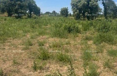 Grundstück von 4000 m² in Ližnjan, T2-Zone