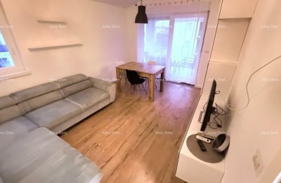 Zu verkaufen: Vollständig ausgestattete Wohnung in der ruhigen Siedlung Žbandaj – Poreč