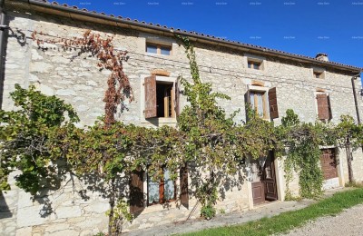 Verkauf - authentisches Steinhaus mit 2 Nebengebäuden und großem Garten, Brtonigla!