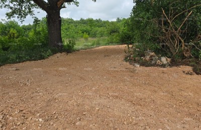 VERKAUF – Baugrundstück mit Baugenehmigung und Hausprojekt mit Pool, Marčana!