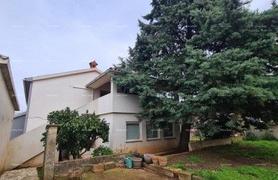 Pula Šišan.  Haus mit Büroflächen!