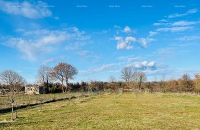 MARČANA! LOBORIKA - BAUGRUNDSTÜCK MIT ZUGANGSWEG