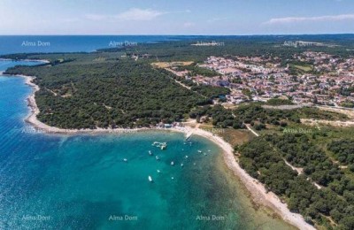 Haus mit drei separaten Wohnungen und Olivenhain, nur 500 m vom Meer entfernt.