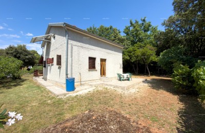 Haus Marčana