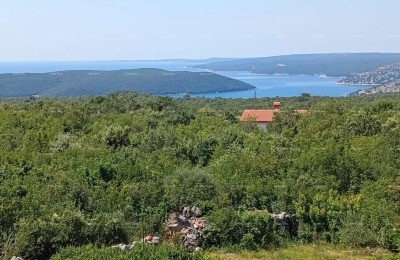 Baugrundstück 4336 m², Sveti Lovreč Labinski