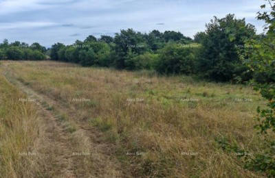 Baugrundstück mit einer Fläche von 1.600 m² in der Nähe von Svetvinčenat