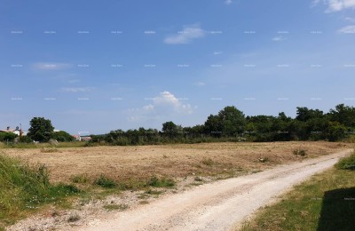 Geräumiges Baugrundstück von 1700 m² in Šišan - ideale Gelegenheit für Ihr Zuhause oder Ihre Investition