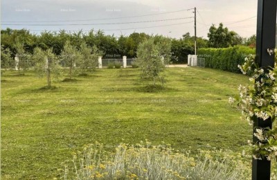 MARČANA! LOBORIKA - BAUGRUNDSTÜCK MIT OLIVENHAUS