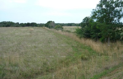 Jadreški, Landwirtschaftsfläche zu verkaufen, mit einer Fläche von 21.870 m²