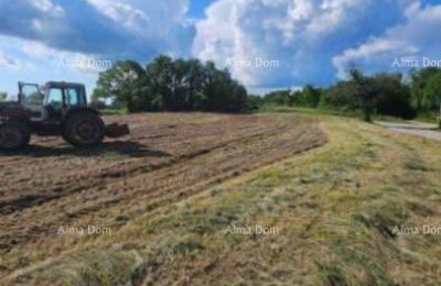 Zu verkaufen: drei Baugrundstücke und ein Landwirtschaftsgrundstück.