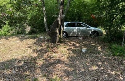 Landwirtschaftliche Fläche zum Verkauf (Wald), 7 km von Poreč entfernt