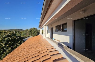 Rovinj: Immobilie in Strandnähe, umgeben von Pinien