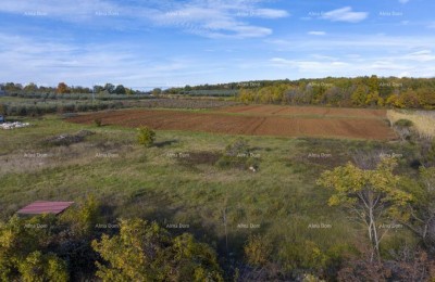 Poreč – 4 Baugrundstücke (800–900 m²) an ruhiger Lage
