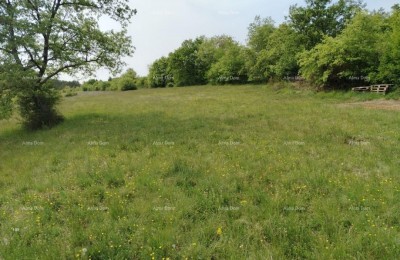 Baugrundstück 3.528 m², Umgebung Grožnjan