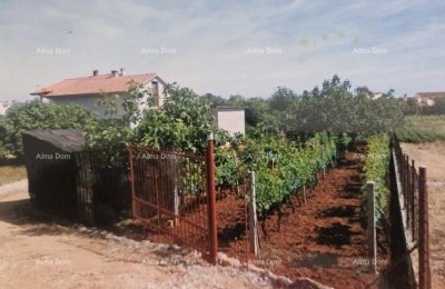 Zu verkaufen: Ein freistehendes Haus in Fažana.